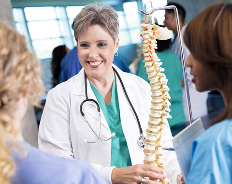 Senior medical or nursing professor teaching students with spine model