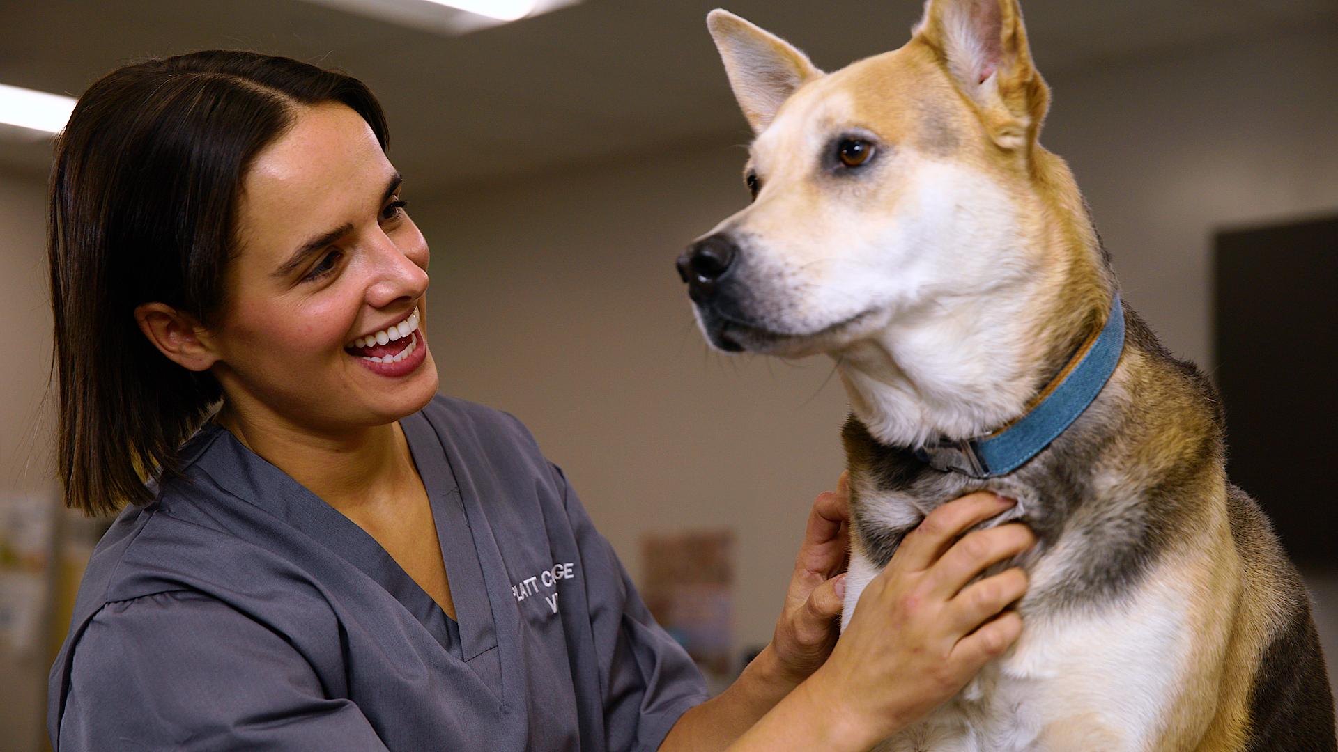 PLATT COLLEGE VET TECH PROGRAM COST visual data 2